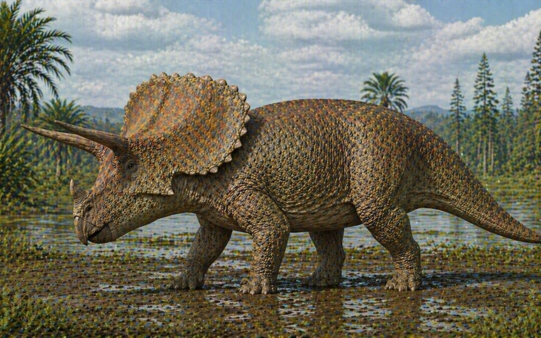 Agujaceratops — Texasin sarvidinosaurus