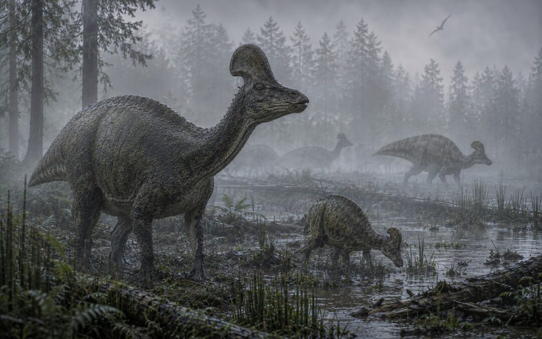 Amurosaurus — Amur-joen ankannokkainen
