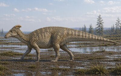 Arenysaurus — Euroopan viimeinen ankannokkainen