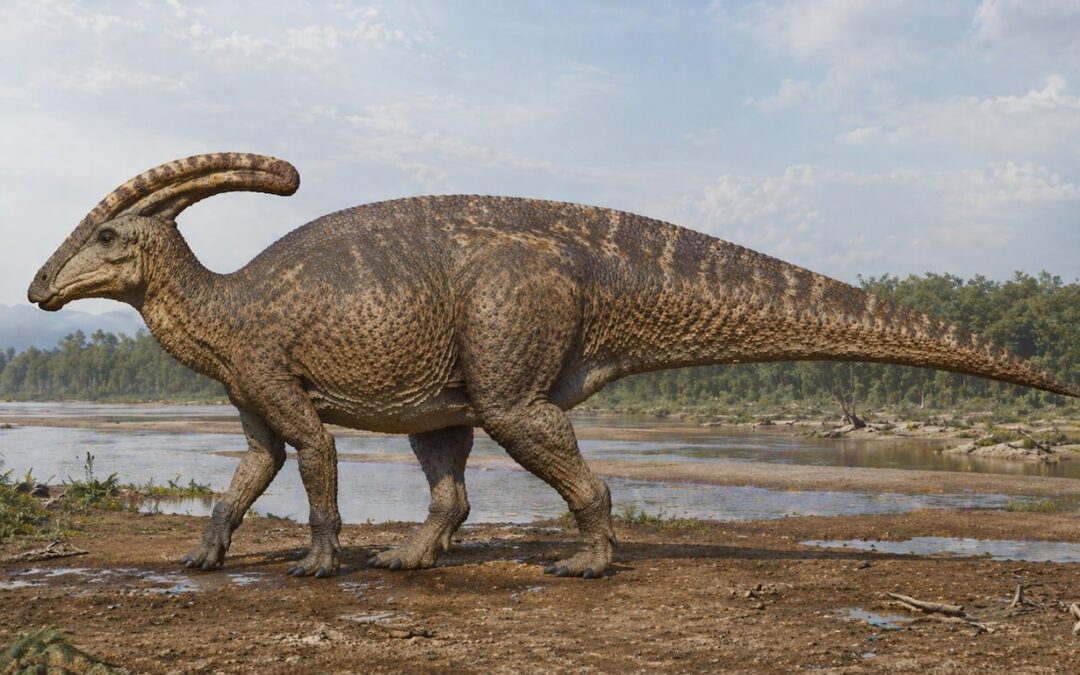 Charonosaurus — Kiinan torviharjainen ankannokkainen