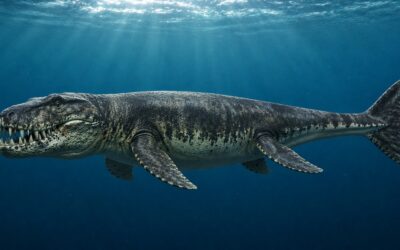 Dakosaurus — Jurakauden meri-T-rex