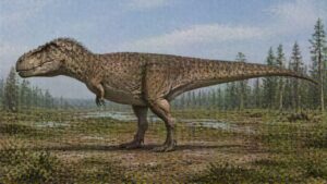 Daspletosaurus
