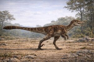Deinonychus