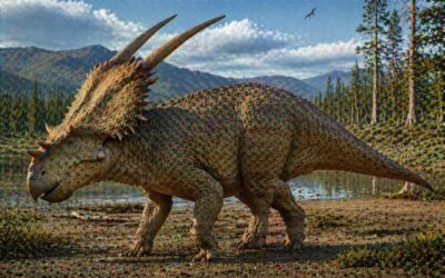 Diabloceratops — Paholaisen sarvet