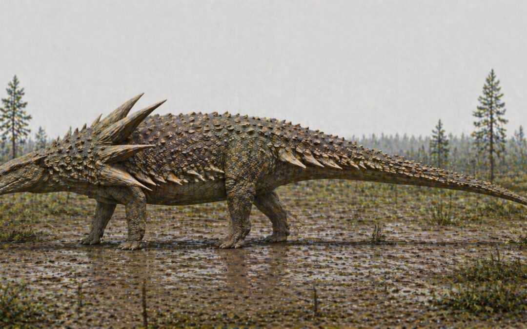 Edmontonia — Piikkipanssaroitu nodosauri