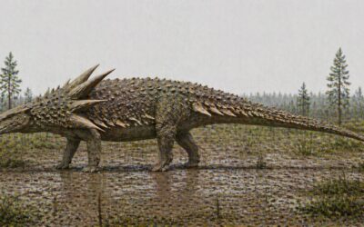 Edmontonia — Piikkipanssaroitu nodosauri