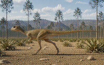 Eocursor — Varhainen ornithischia