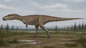 Gorgosaurus
