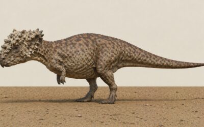 Goyocephale — mongolialainen paksupäinen