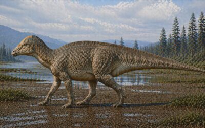 Gryposaurus — kyhmynenäinen ankannokkainen
