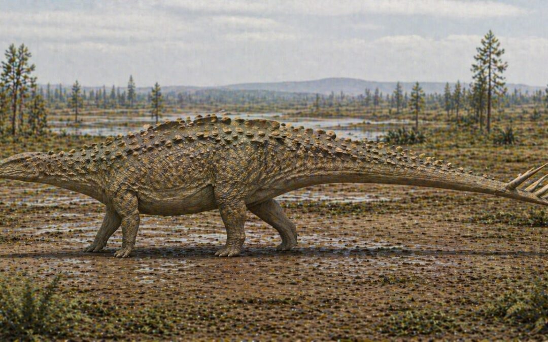 Hesperosaurus — Stegosauruksen sukulainen