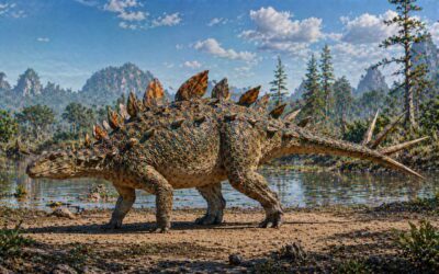 Huayangosaurus — Vanhin tunnettu stegosauri