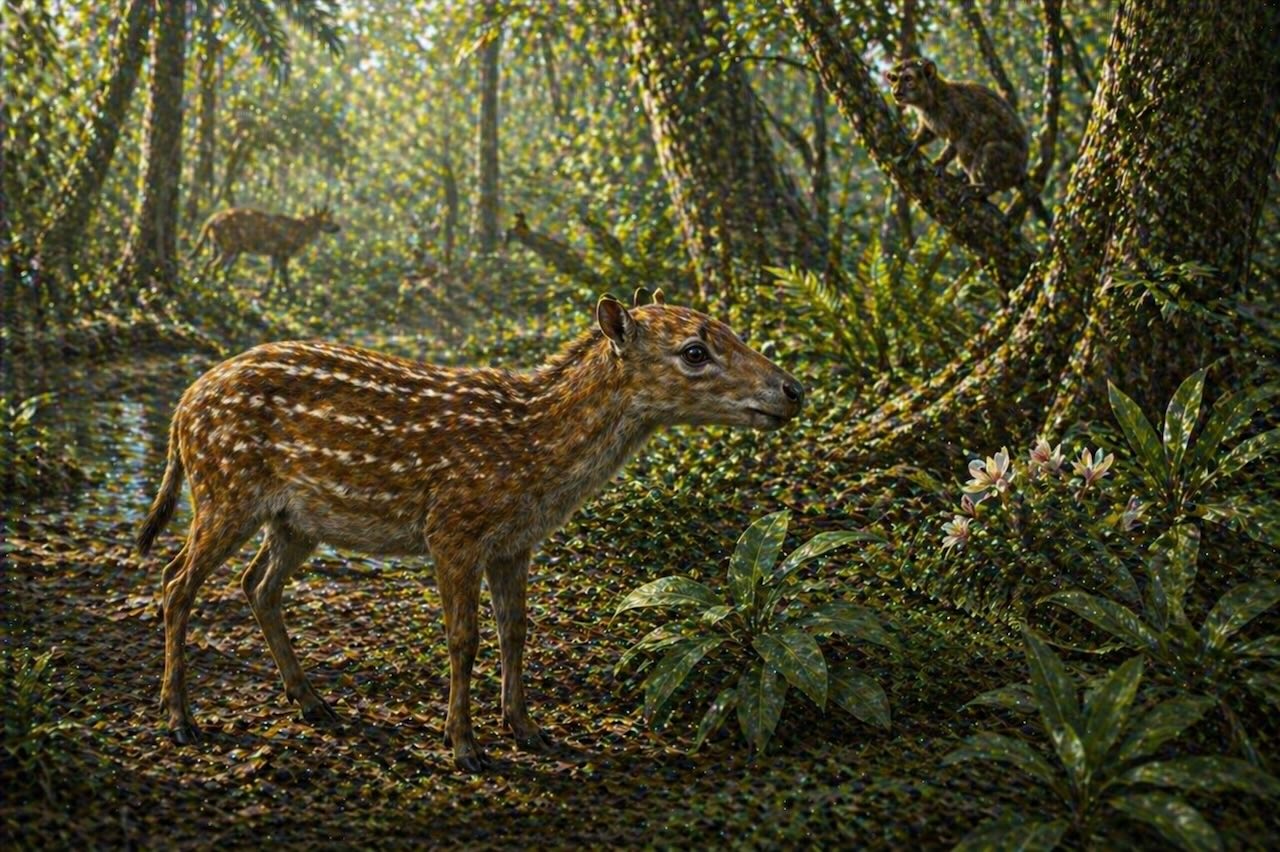 Hyracotherium — koiran kokoinen varhainen hevonen eoseenissa