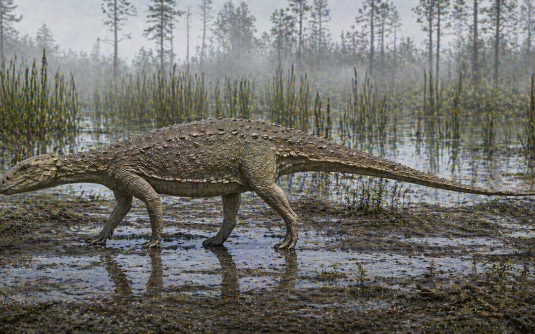 Liaoningosaurus — Pienin ankylosaurus