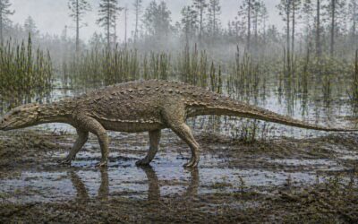 Liaoningosaurus — Pienin ankylosaurus