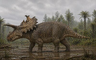 Lokiceratops — Lokin sarvet dinosauruksella