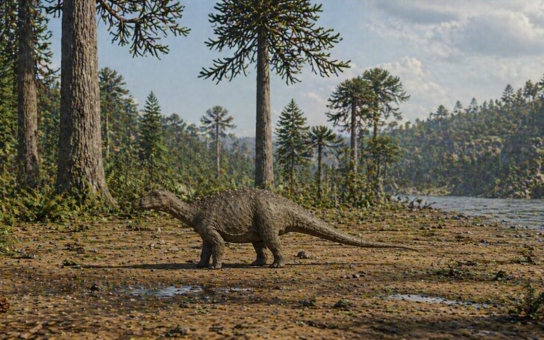 Magyarosaurus — Romanian kääpiötitanosauri