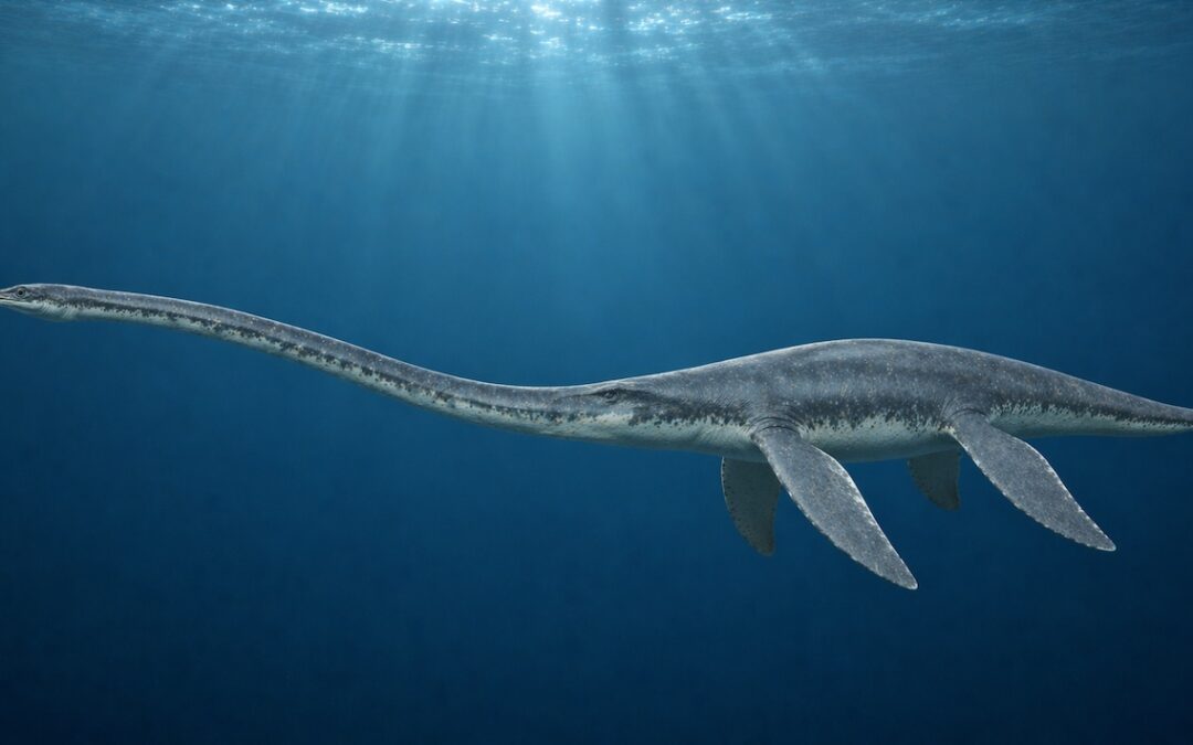 Mauisaurus — Uuden-Seelannin plesiosauri