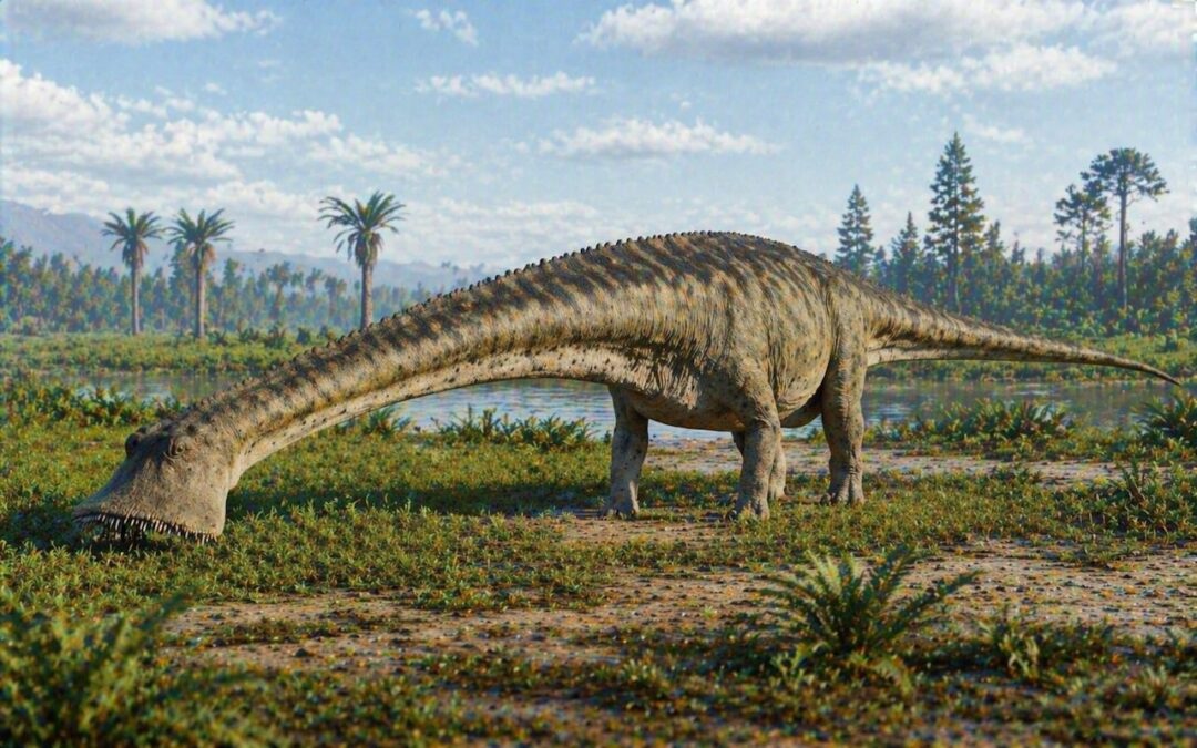 Nigersaurus — Nigerin lisko