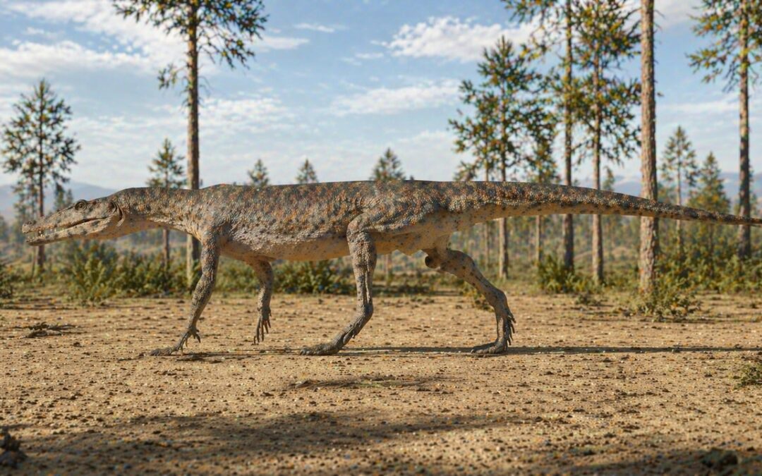 Ornithosuchus — Skotlannin lintumainen rauisukia