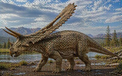Pentaceratops — Viisisarvinen dinosaurus