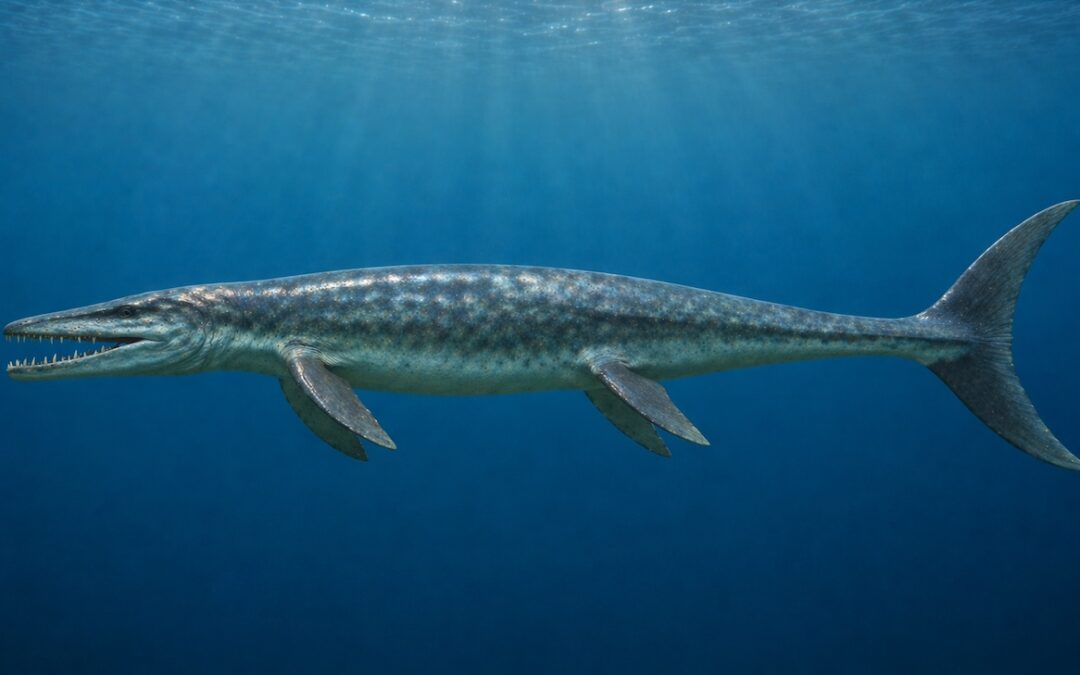 Platecarpus — Keskikokoinen mosasauri