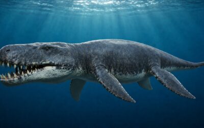 Pliosaurus — Jurakauden suurin meripeto
