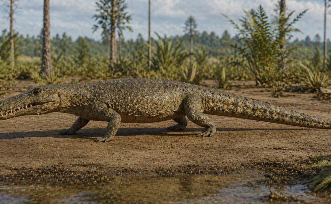 Proterosuchus — Triaskauden alkukrokotiili