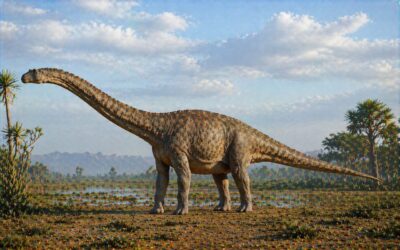 Rapetosaurus — Madagaskarin titaanijätti