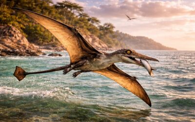 Rhamphorhynchus — Nokkakuono