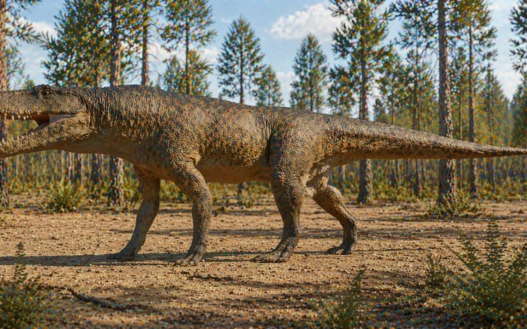 Saurosuchus — Triaskauden 7-metrinen huippusaalistaja