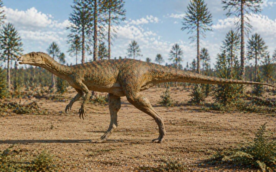 Silesaurus — Dinosaurusten lähin esi-isähaaraketo