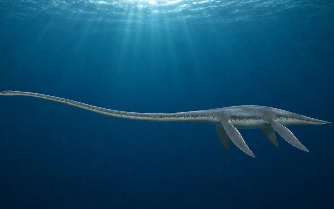 Styxosaurus — Pitkäkaulainen elasmosauri