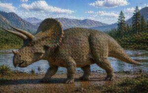 Triceratops