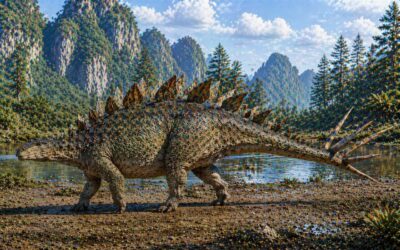 Tuojiangosaurus — Kiinan kuuluisin stegosauri