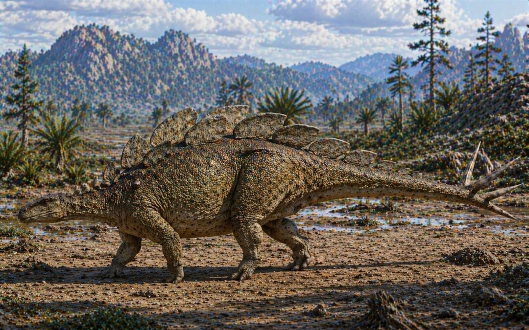 Wuerhosaurus — Viimeinen stegosauri