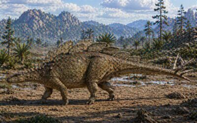Wuerhosaurus — Viimeinen stegosauri