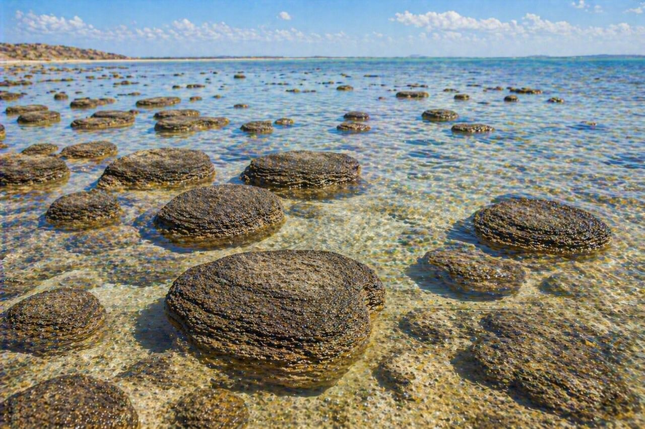 Stromatoliitit — syanobakteerien muodostamat rakenteet, jotka muuttivat maapallon ilmakehän