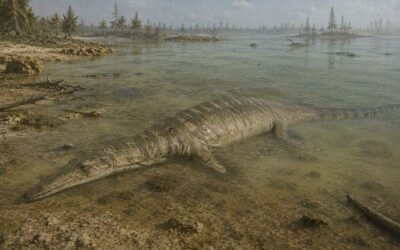 Nothosaurus — Triaskauden merimatelija