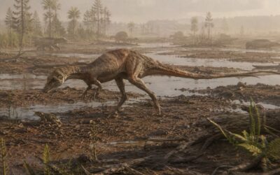 Nyasasaurus — Vanhin tunnettu dinosaurus