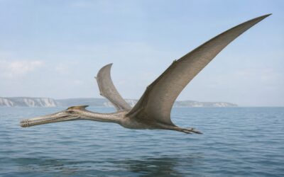 Ornithocheirus — Klassinen kalastajapterosauri