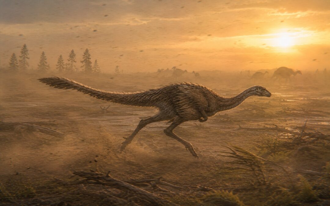 Ornithomimus — Strutsidinosaurus