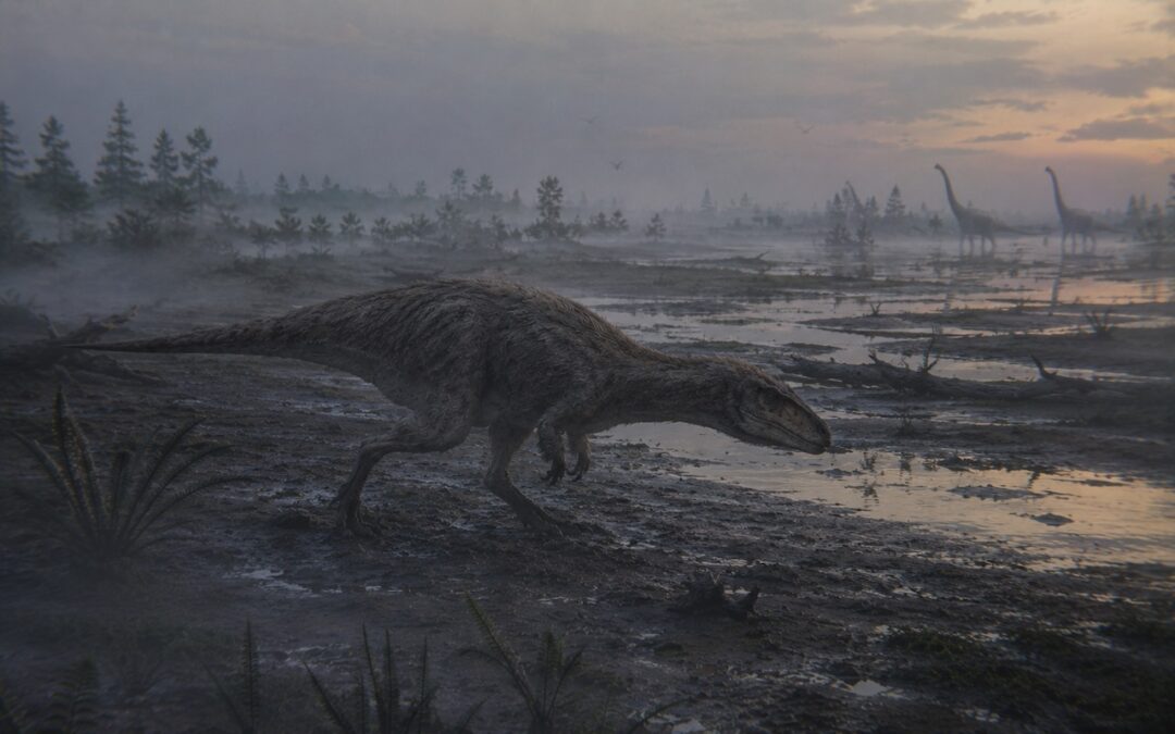 Proceratosaurus — Tyrannosauridien esi-isähaaraketo