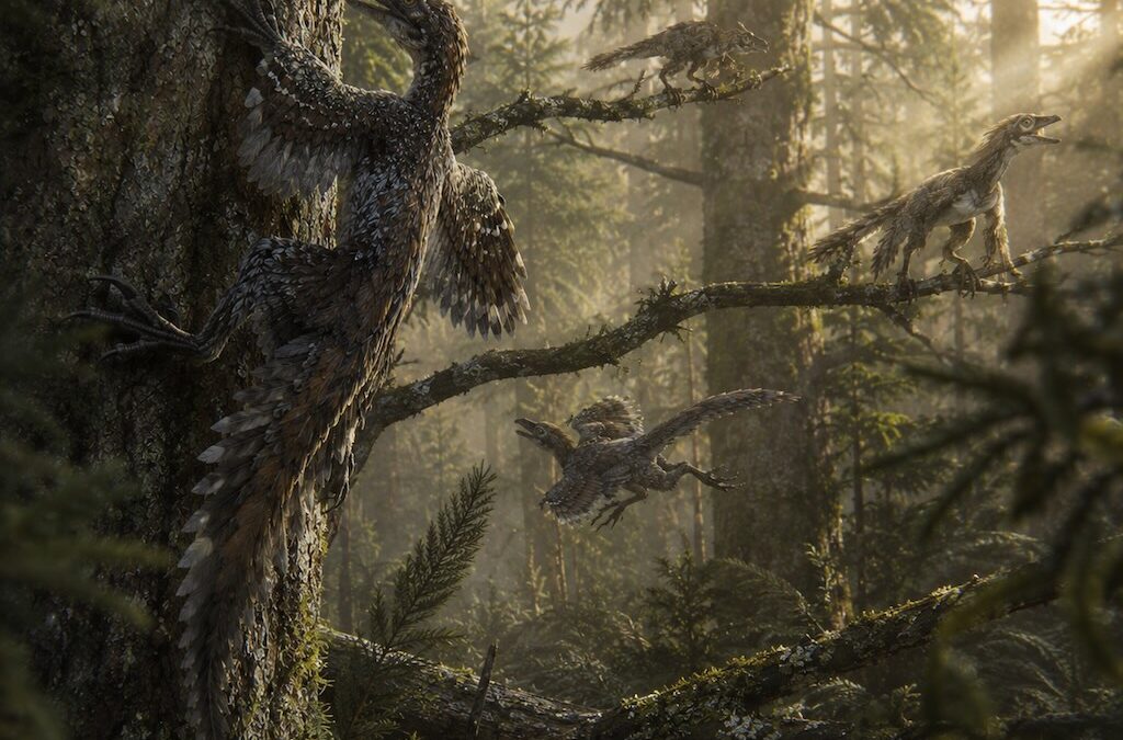 Pystyivätkö dinosaurukset kiipeämään puihin?