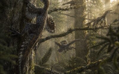 Pystyivätkö dinosaurukset kiipeämään puihin?