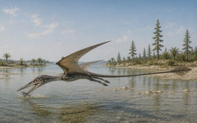Rhamphorhynchus — Nokkakuono