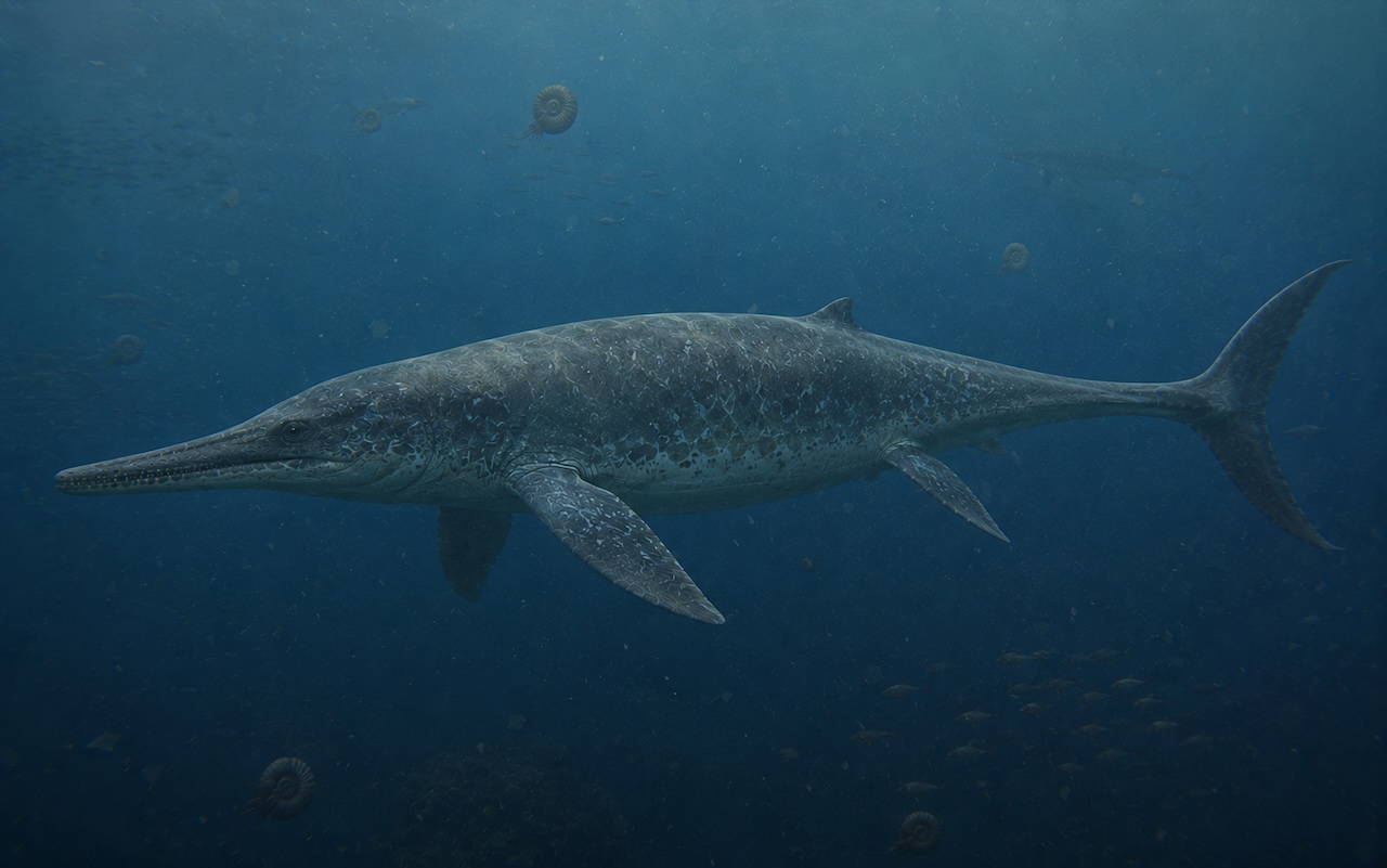 Shonisaurus popularis