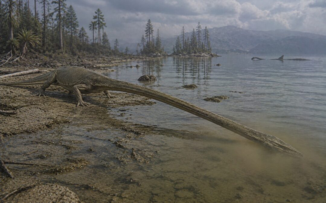 Tanystropheus – Outo pitkäkaulainen