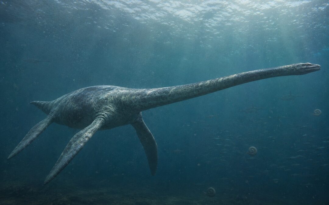 Thalassomedon — Pitkäkaulainen merihirviö