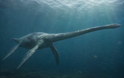 Thalassomedon — Pitkäkaulainen merihirviö